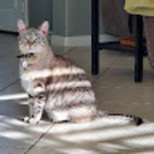 Meet your Posher, Chad